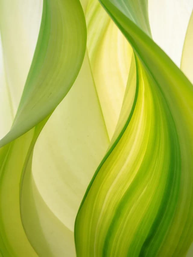 Responsible by design product